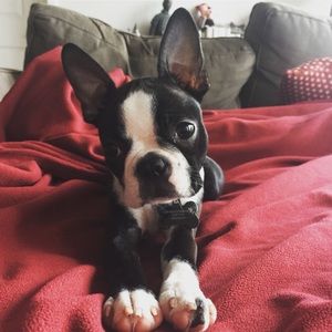 Meet your Posher, Catherine